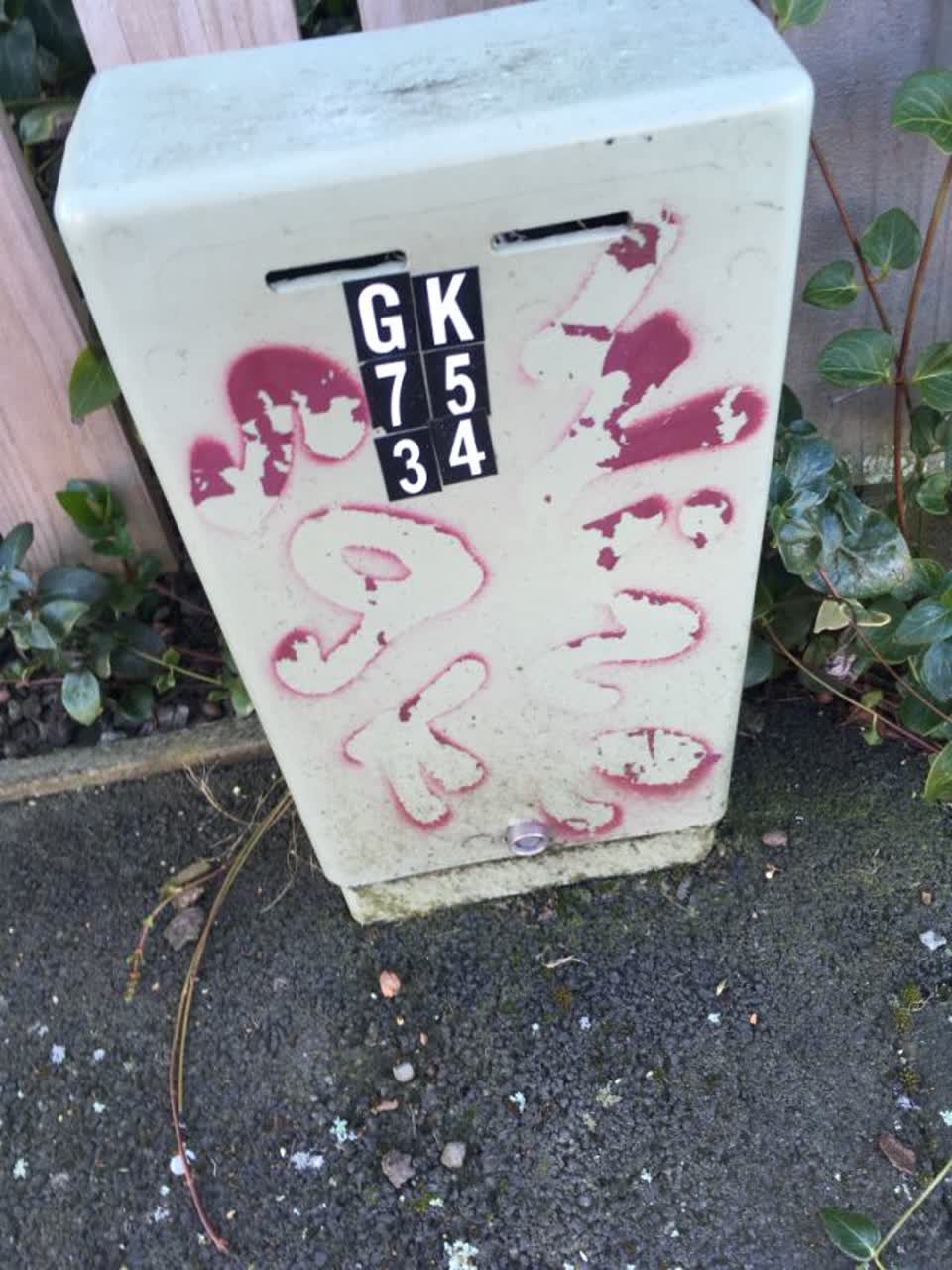 The photograph attached to this graffiti report