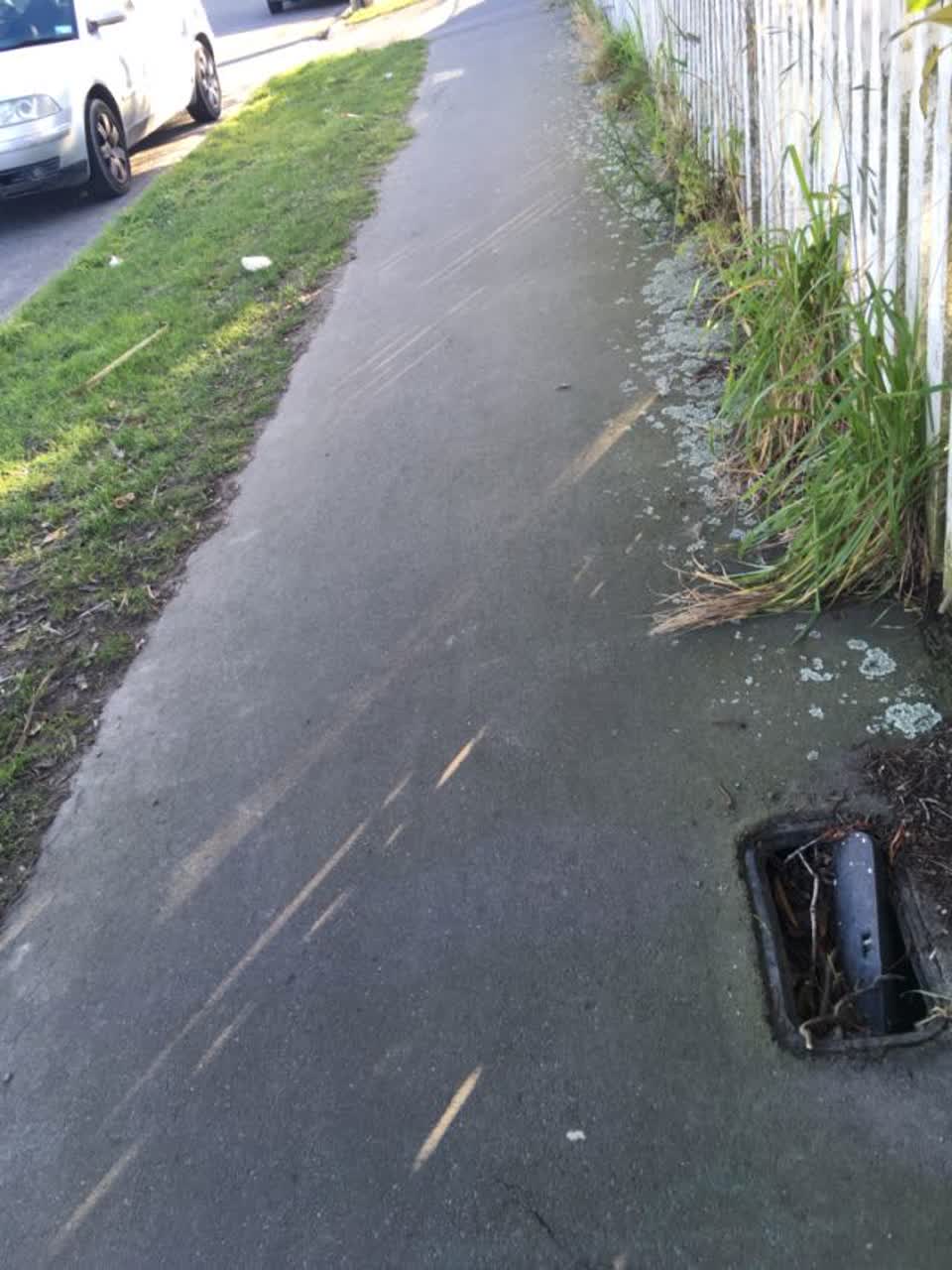 The photograph attached to this roading/streets report