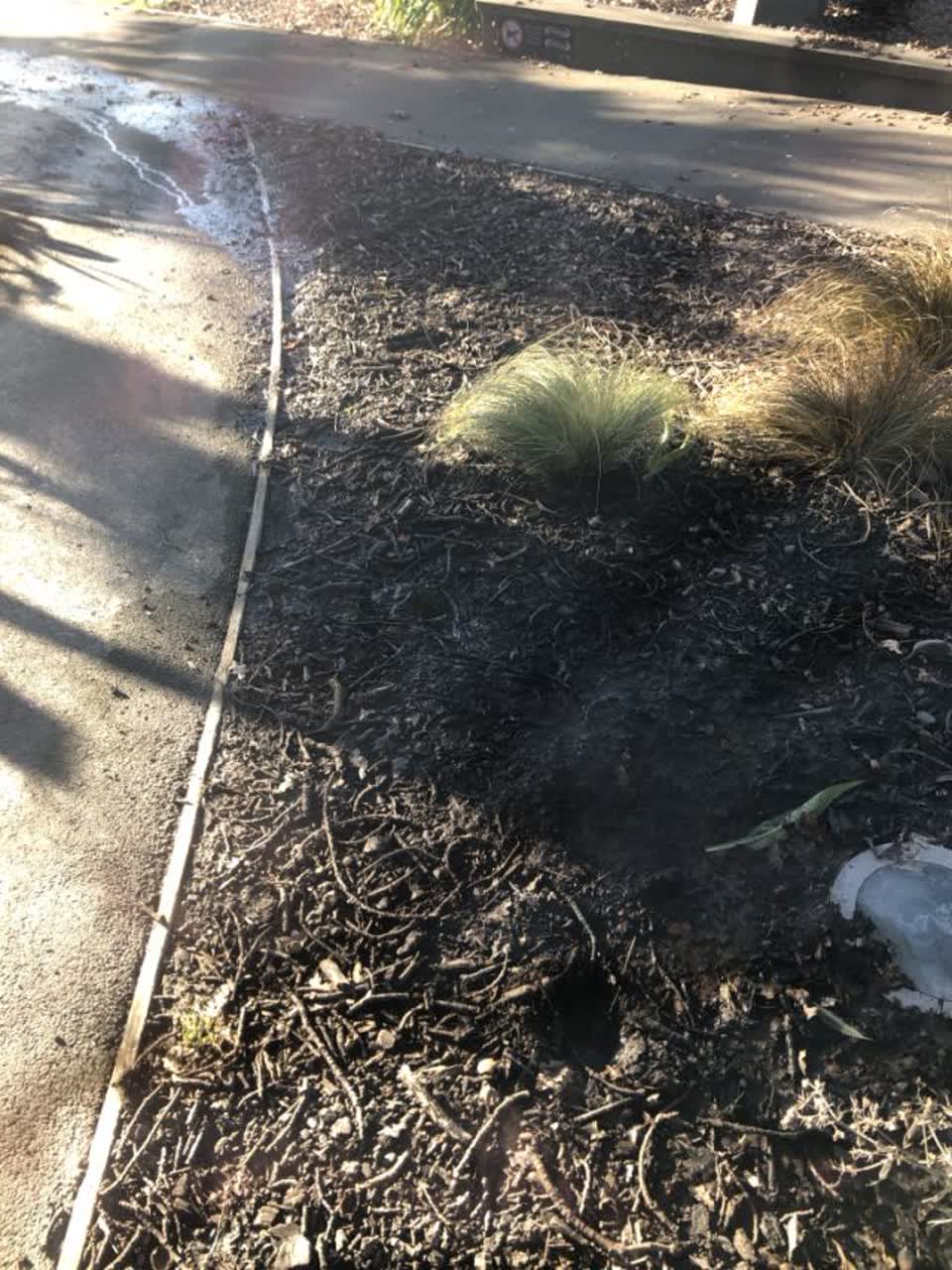 The photograph attached to this water supply report