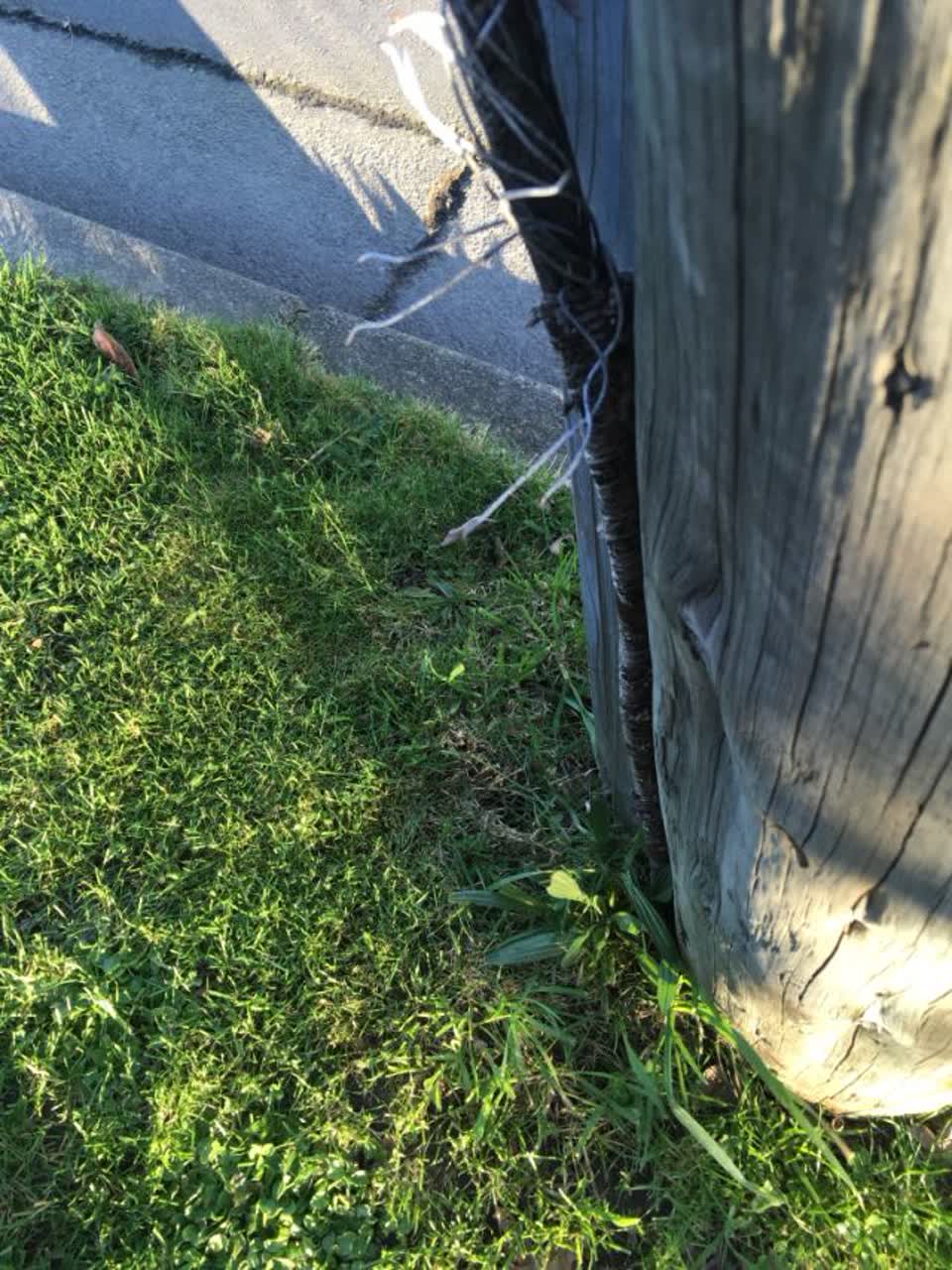 The photograph attached to this roading/streets report