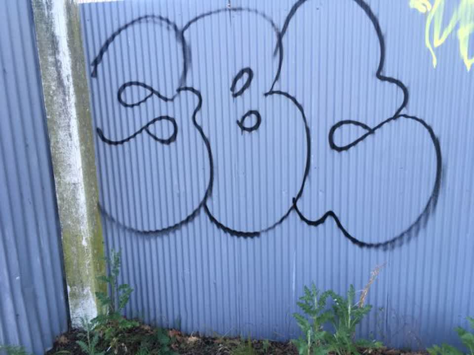 The photograph attached to this graffiti report