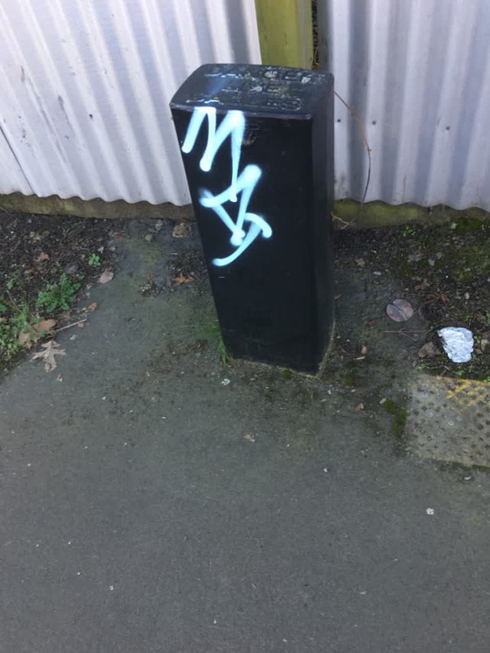 The photograph attached to this graffiti report