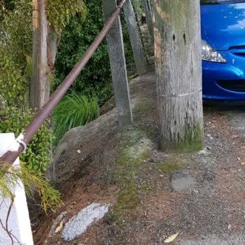 Roading/Streets, a report photo