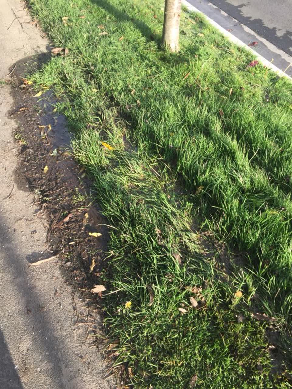 The photograph attached to this water supply report