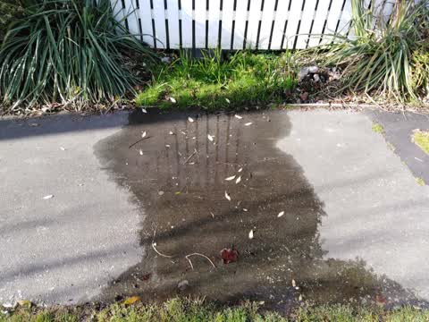 Water Supply, a report photo