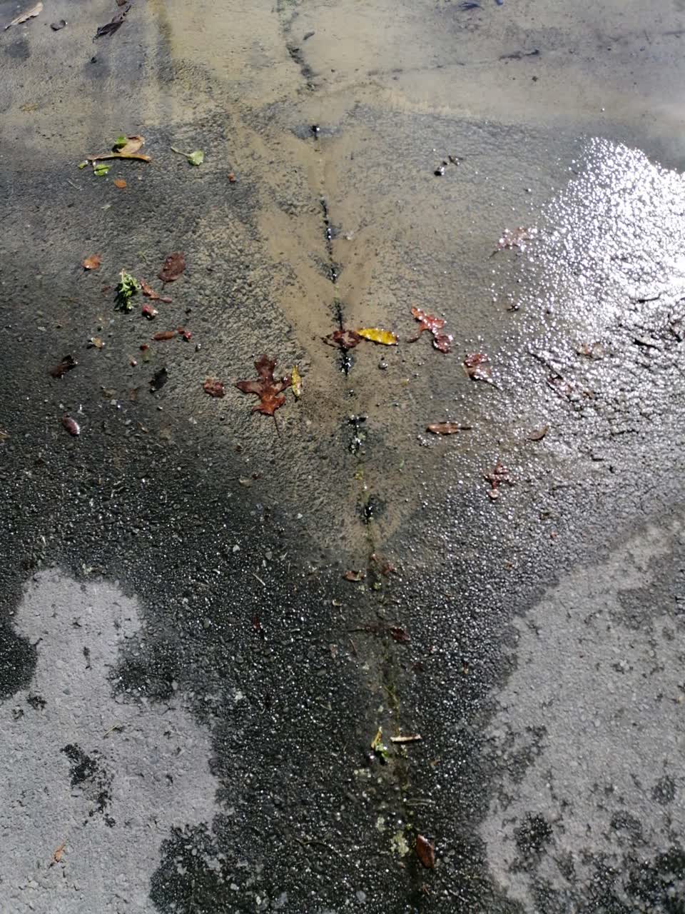 The photograph attached to this water supply report