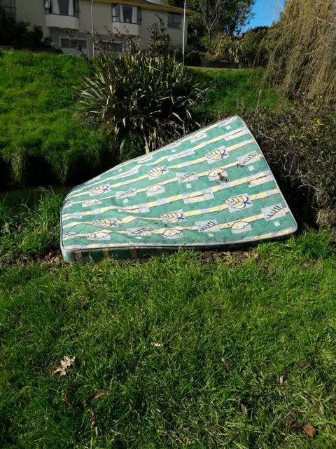 Rubbish/Recycling — a report photo