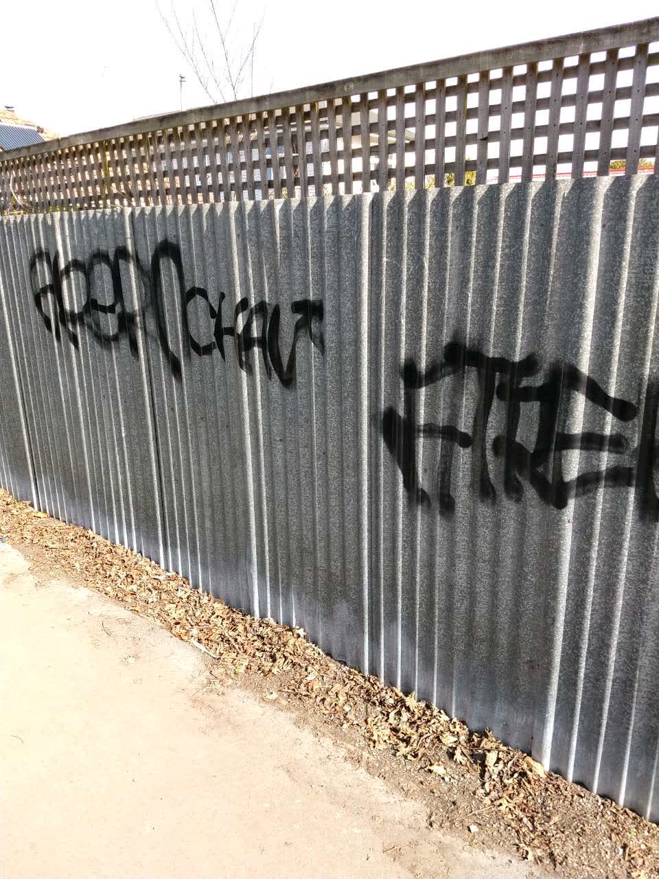 The photograph attached to this graffiti report