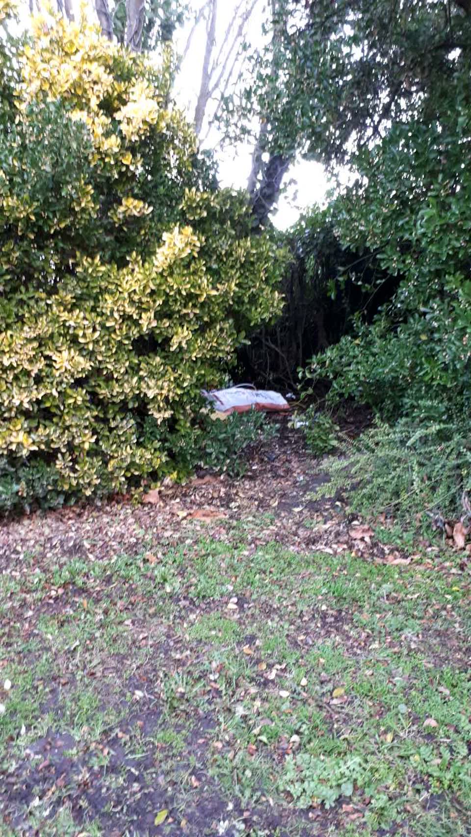 The photograph attached to this rubbish/recycling report