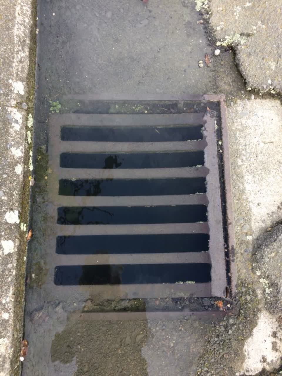The photograph attached to this wastewater/stormwater report