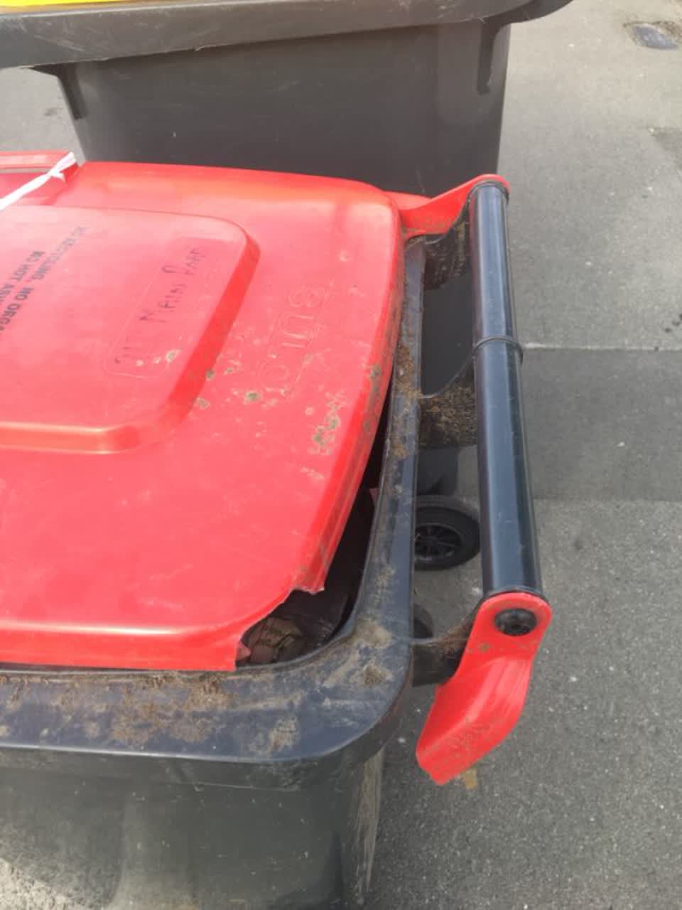 The photograph attached to this rubbish/recycling report