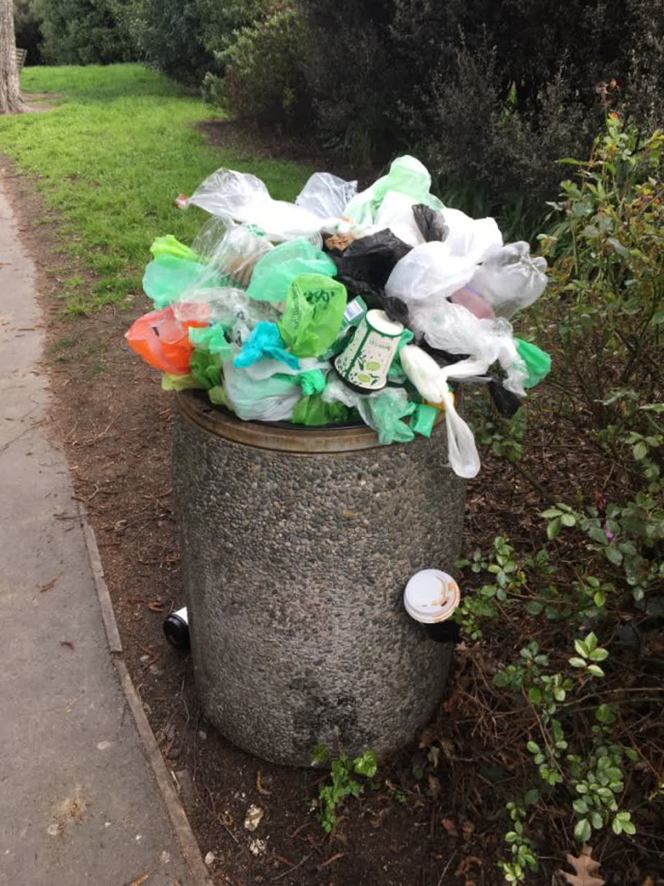 The photograph attached to this rubbish/recycling report
