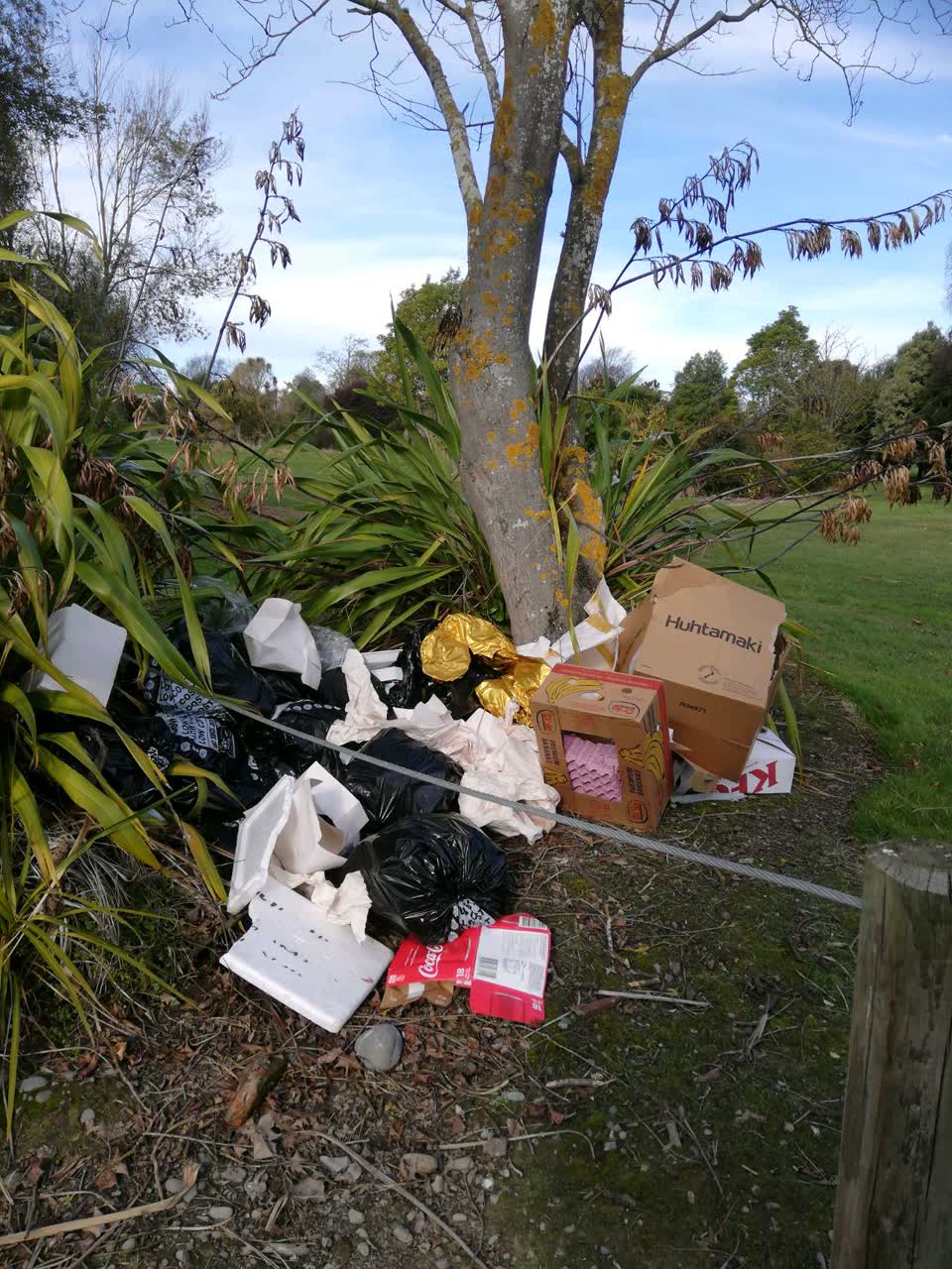 The photograph attached to this rubbish/recycling report