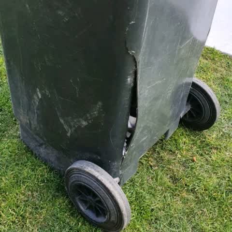 Rubbish/Recycling, a report photo