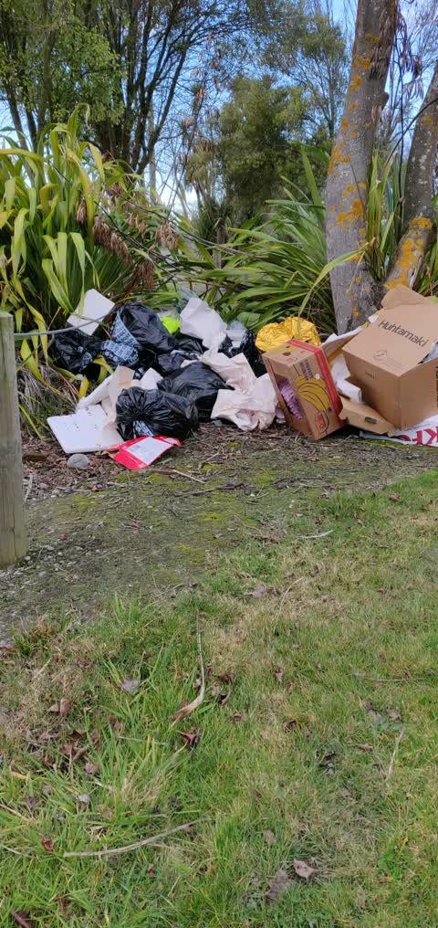 Rubbish/Recycling — a report photo