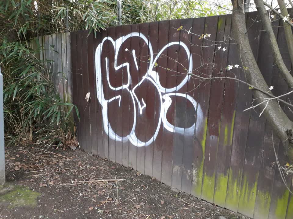 The photograph attached to this graffiti report