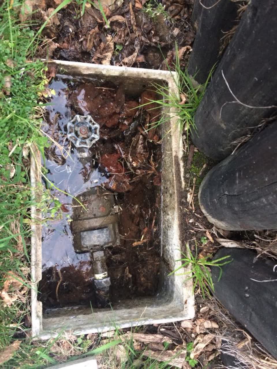 The photograph attached to this water supply report