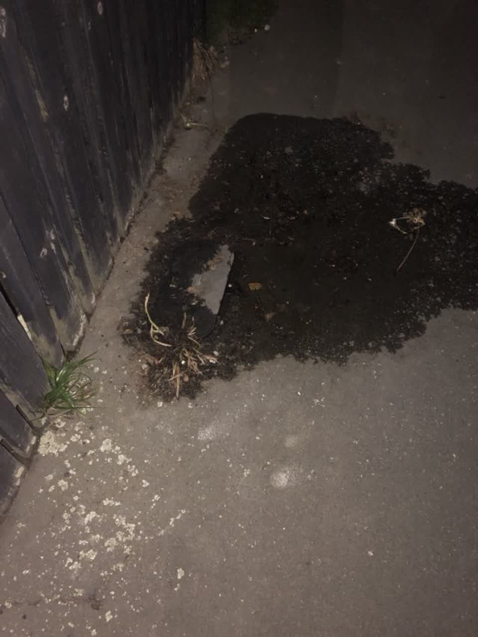 The photograph attached to this water supply report