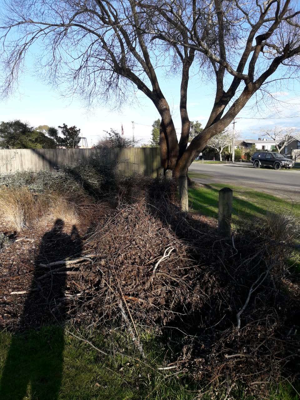 The photograph attached to this parks report