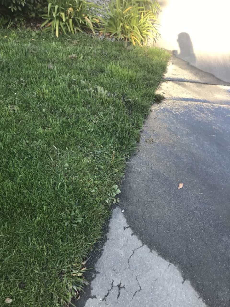 The photograph attached to this water supply report
