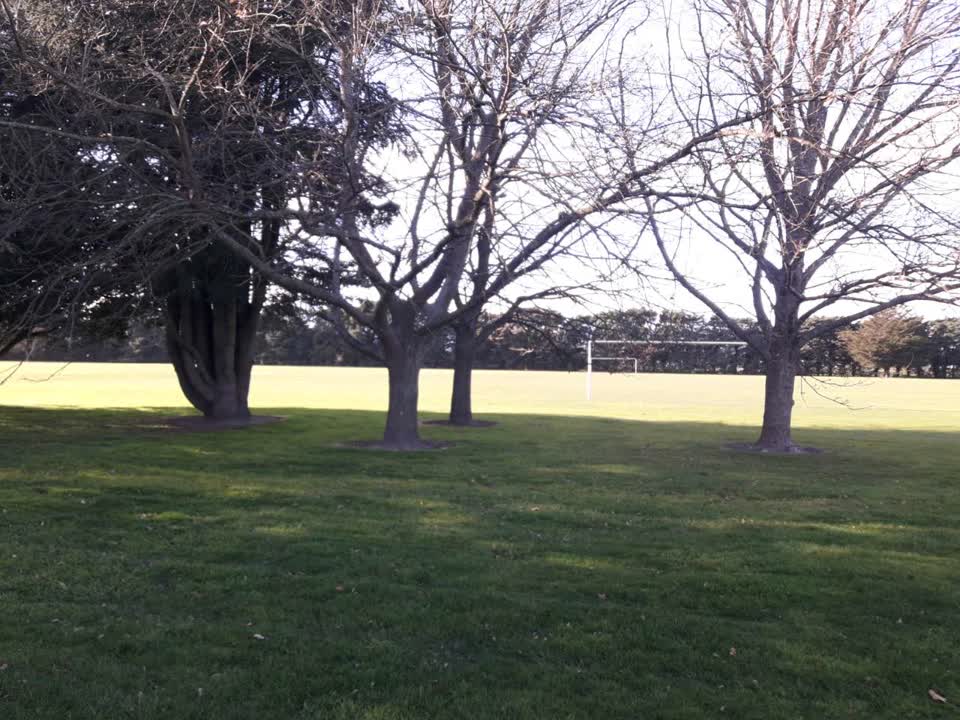 The photograph attached to this parks report