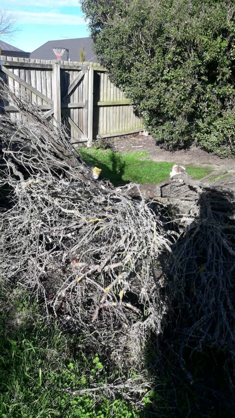 The photograph attached to this parks report