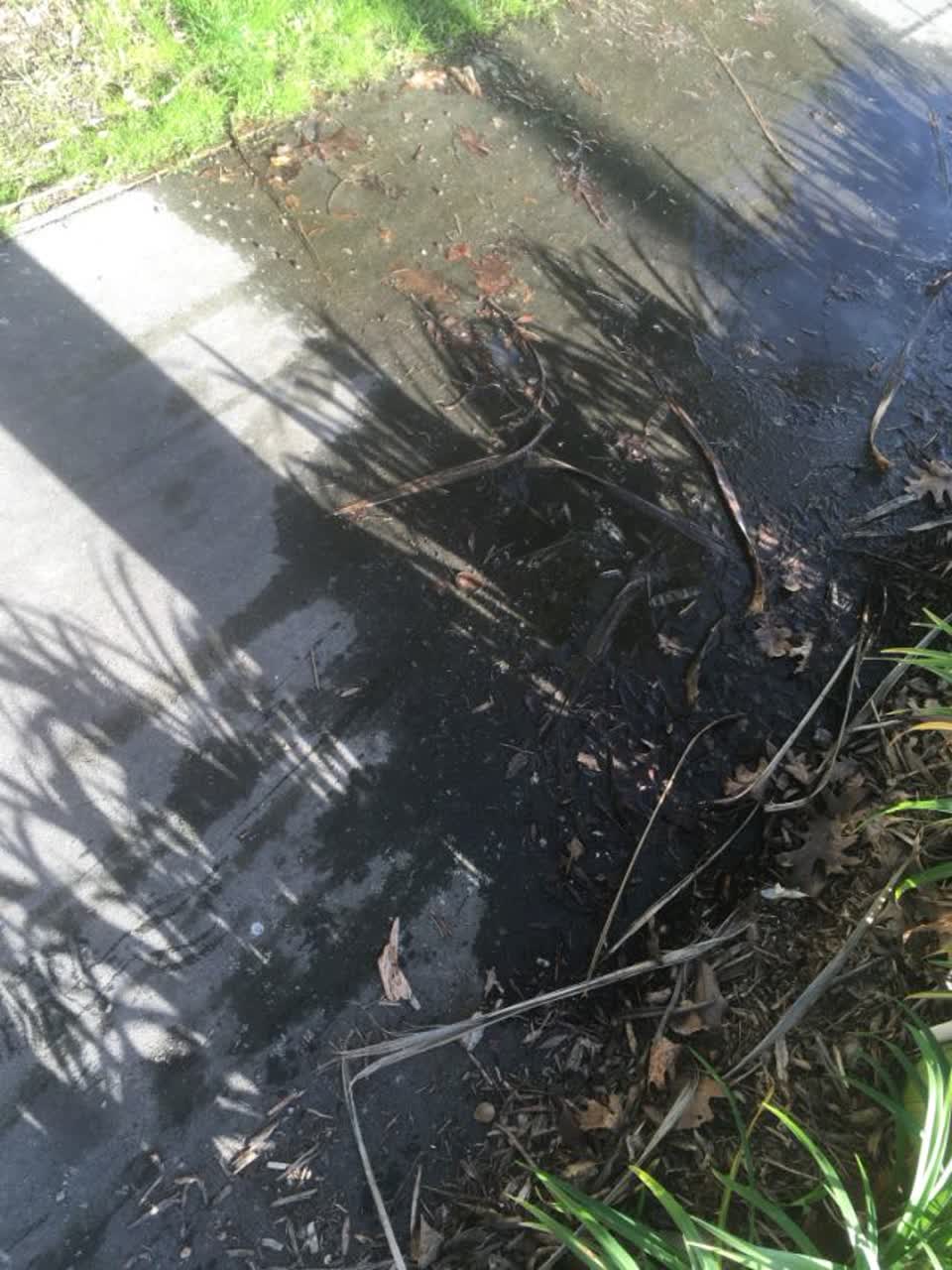 The photograph attached to this water supply report