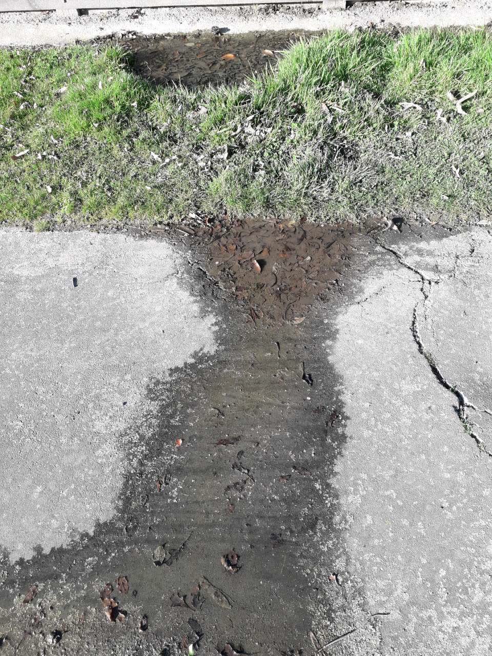 The photograph attached to this water supply report