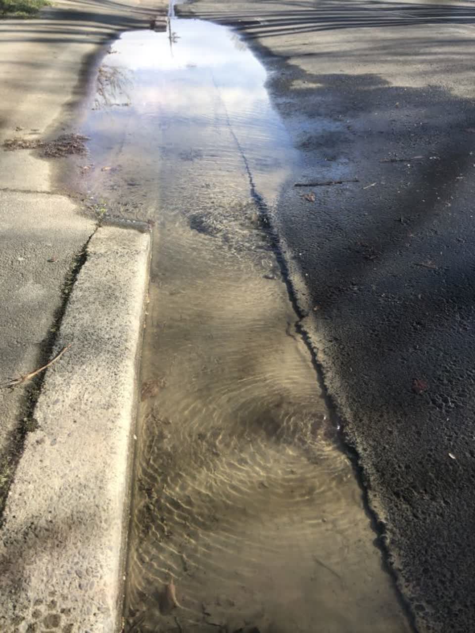 The photograph attached to this water supply report