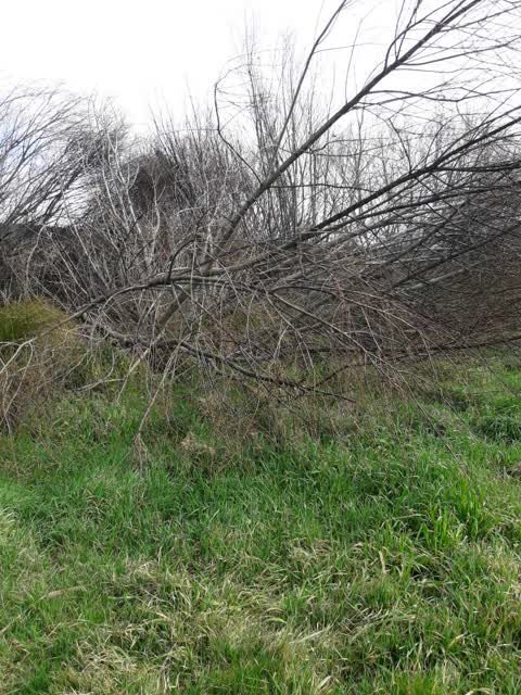 Parks, a report photo