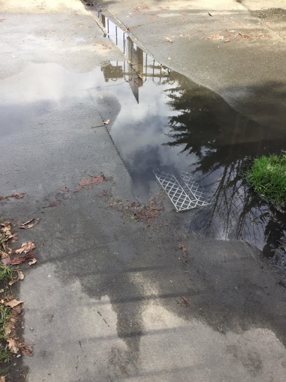 The photograph attached to this water supply report