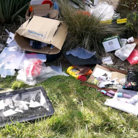 Rubbish/Recycling, a report photo