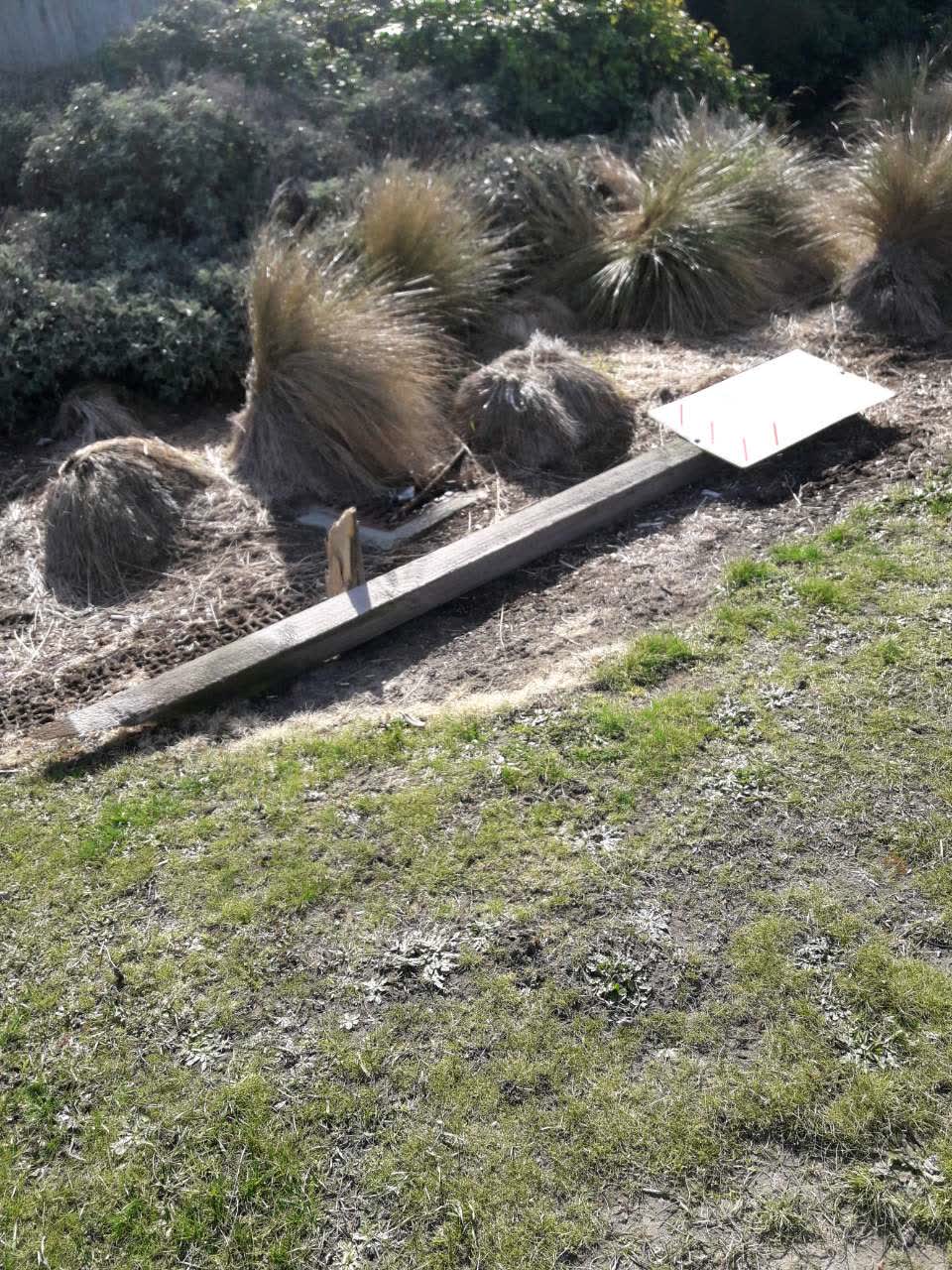 The photograph attached to this parks report