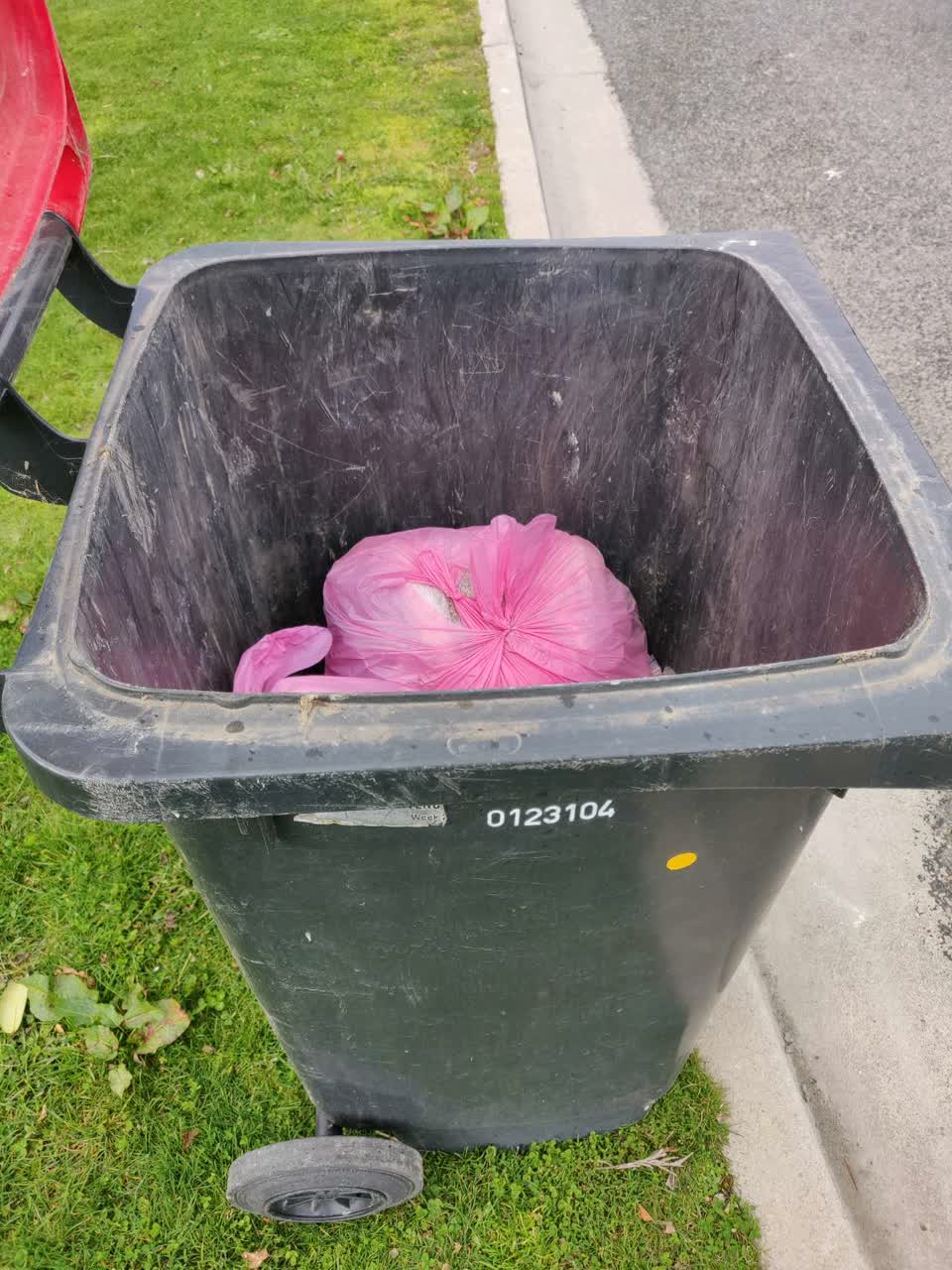 The photograph attached to this rubbish/recycling report