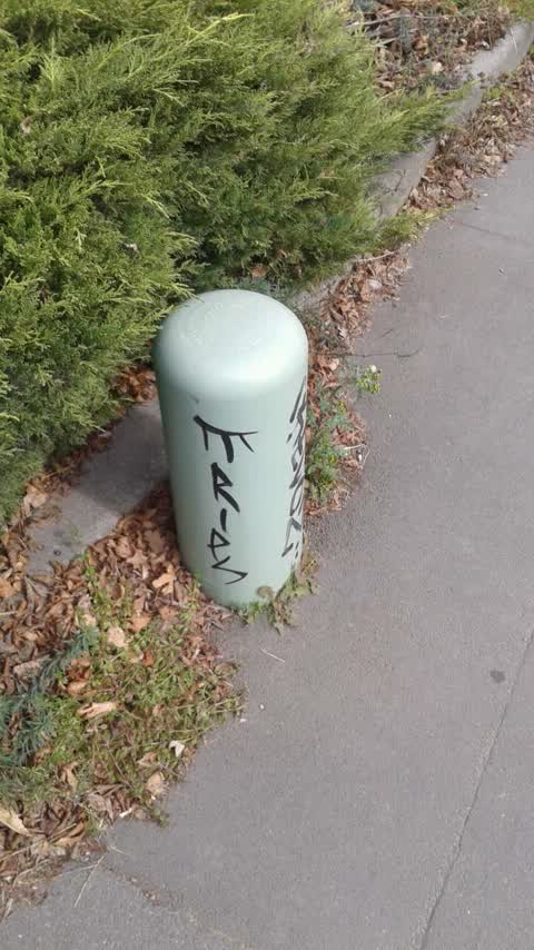 Graffiti — a report photo
