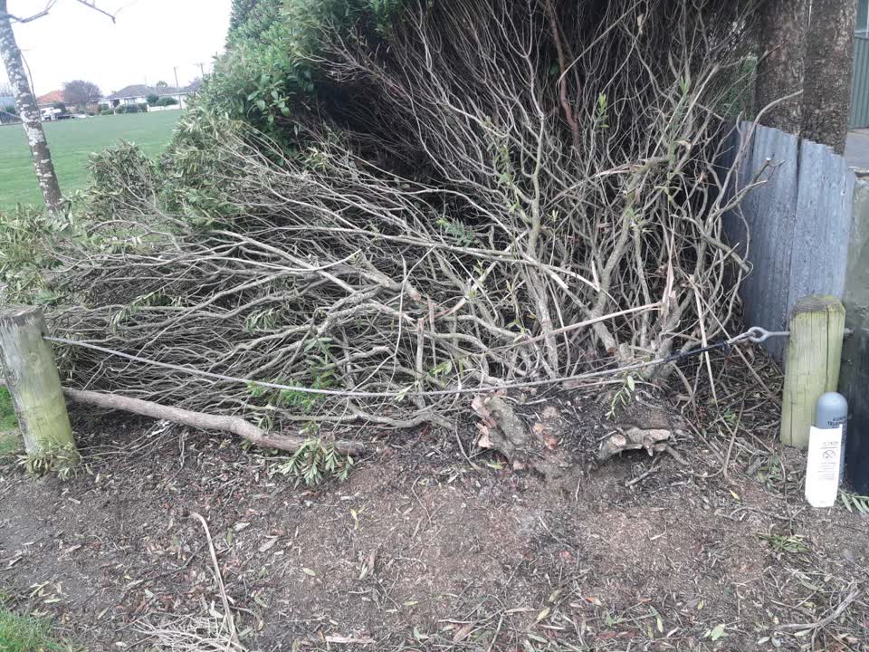 The photograph attached to this parks report