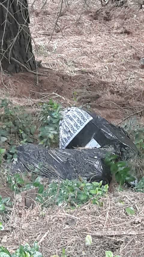 Rubbish/Recycling, a report photo