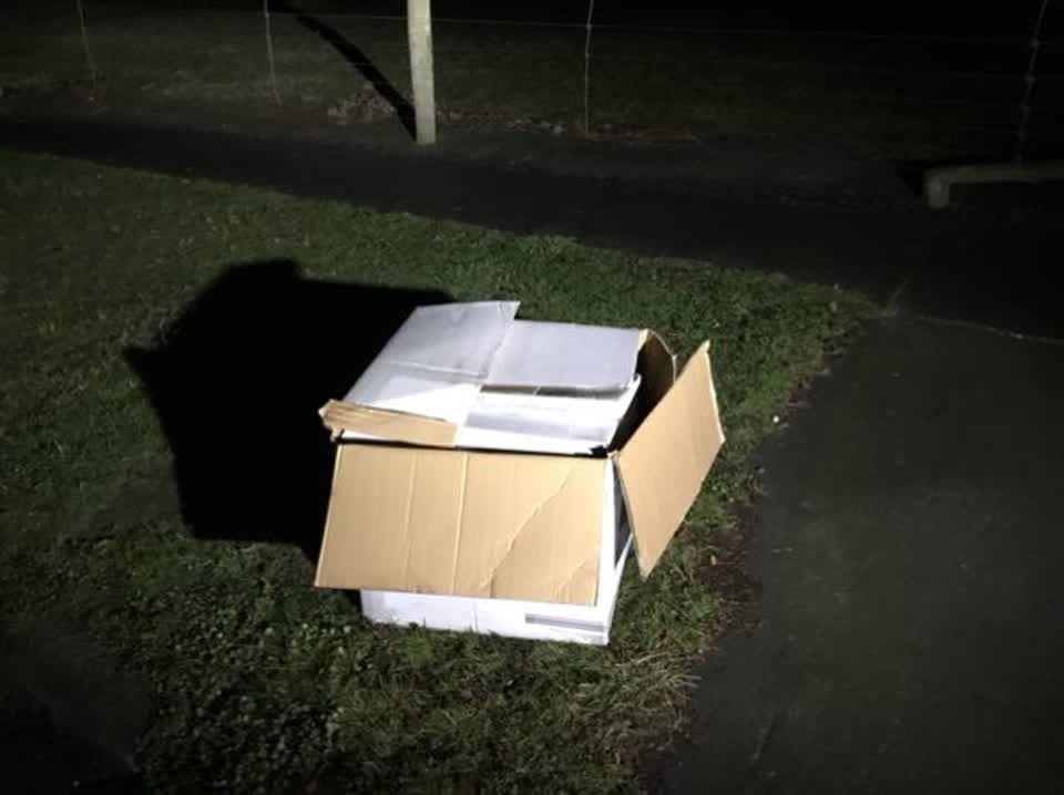 The photograph attached to this rubbish/recycling report