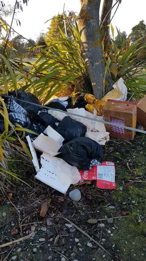 Rubbish/Recycling — a report photo
