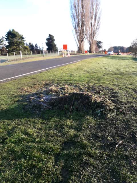 Parks, a report photo