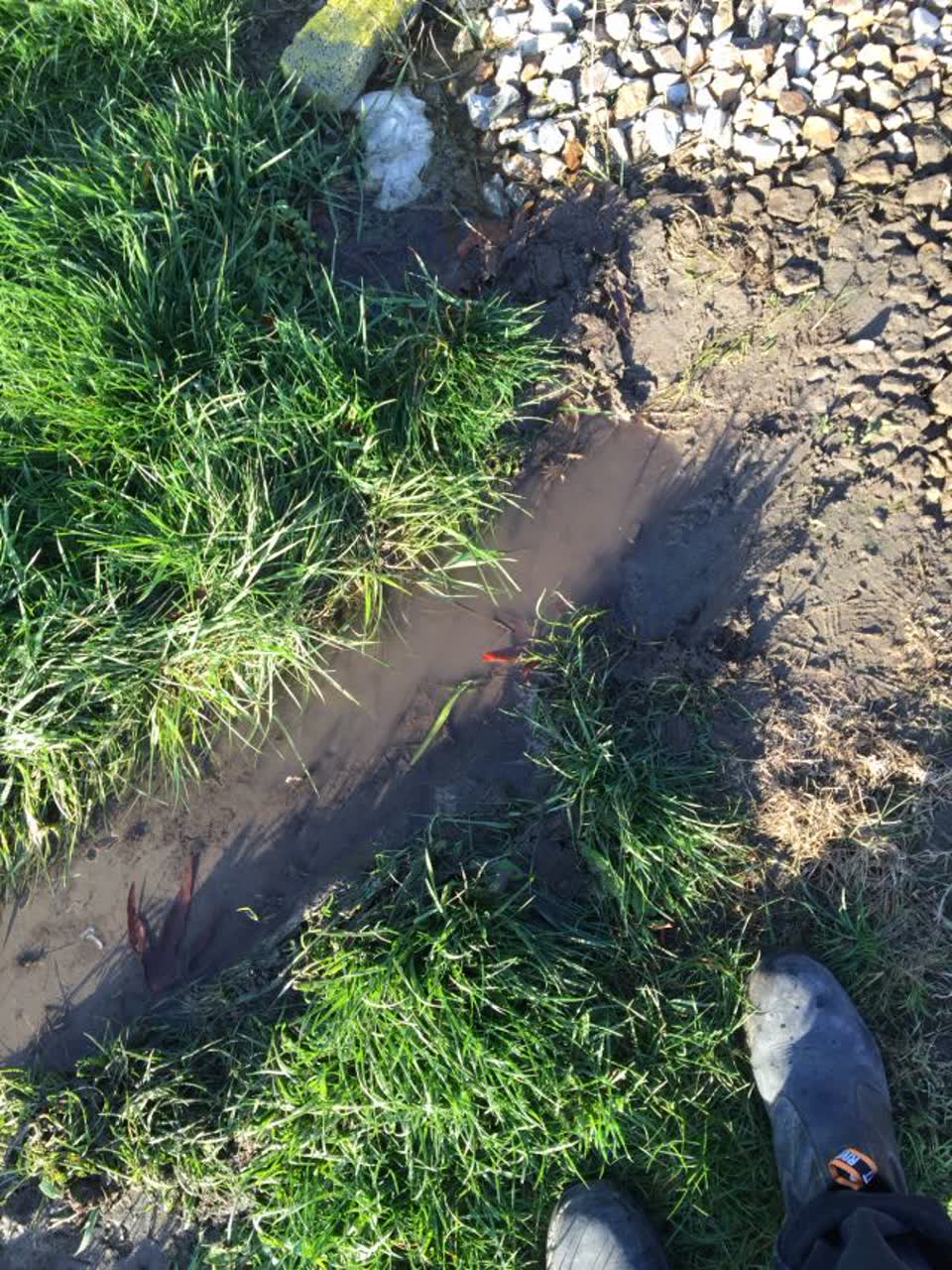 The photograph attached to this water supply report