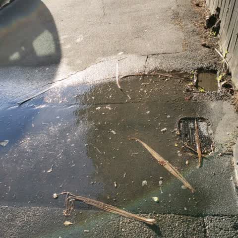 Water Supply, a report photo
