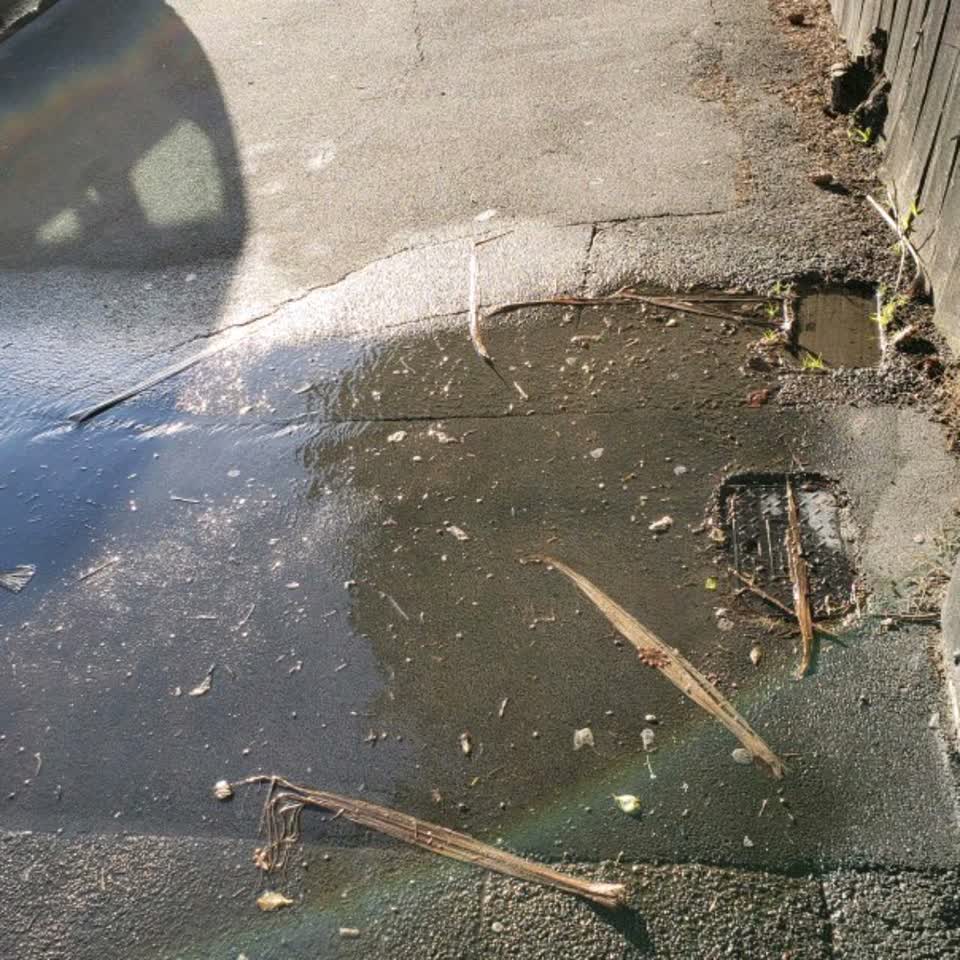 The photograph attached to this water supply report
