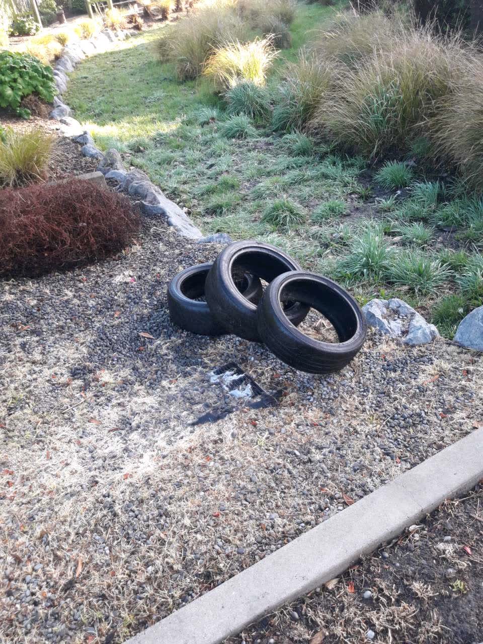 The photograph attached to this parks report
