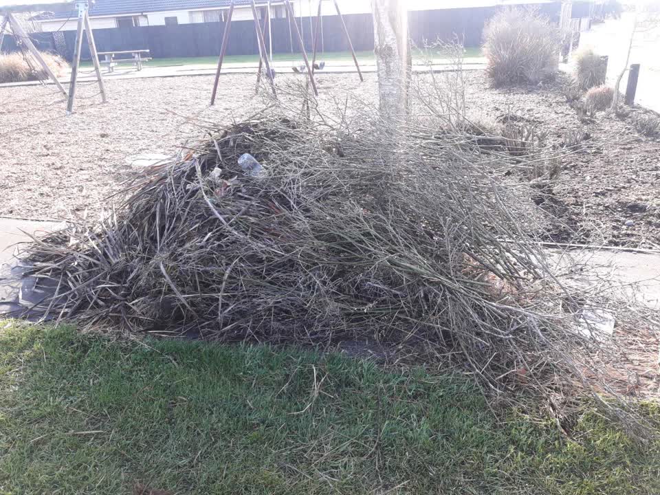 The photograph attached to this parks report