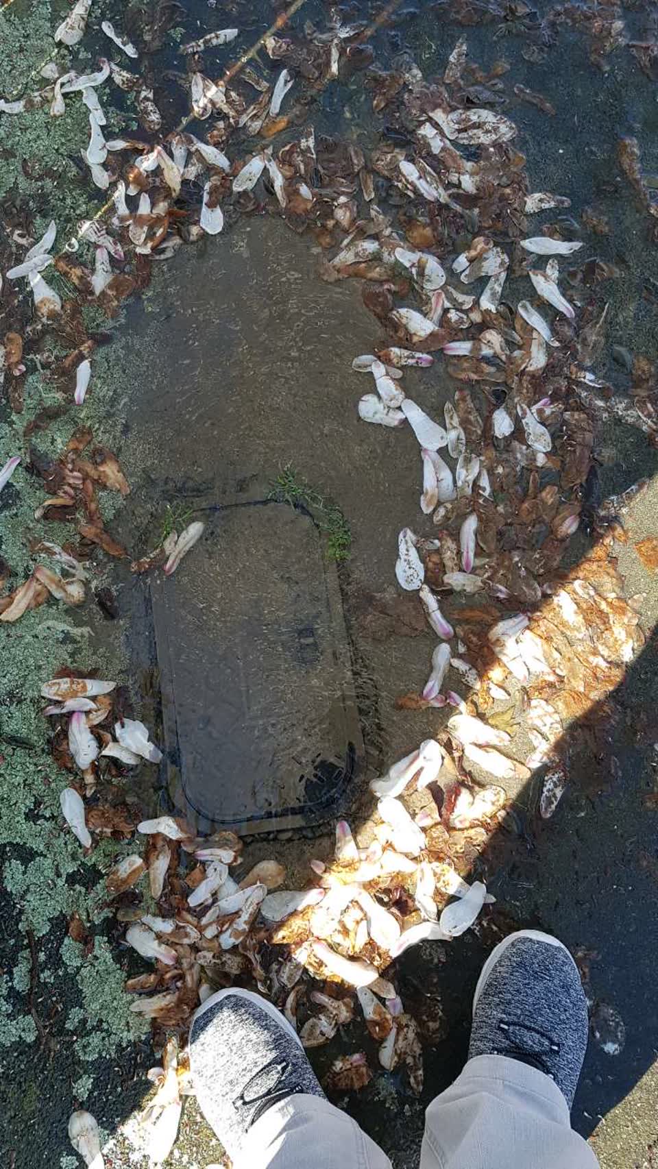 The photograph attached to this water supply report