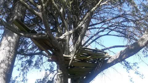 Parks, a report photo