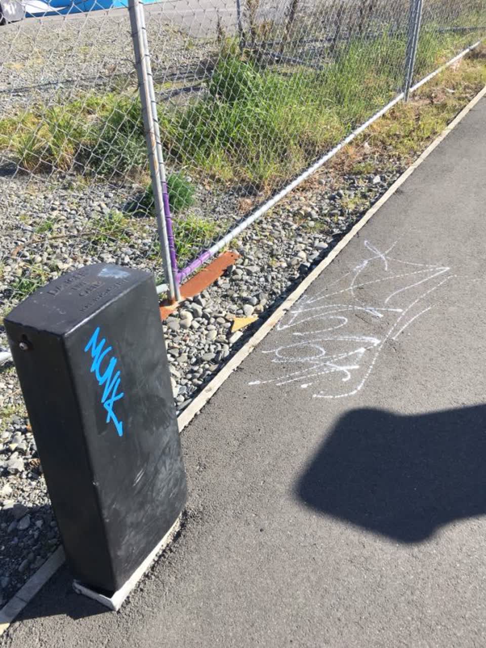 The photograph attached to this graffiti report