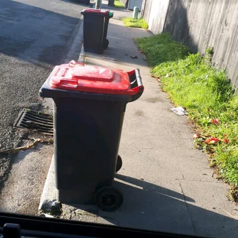 Rubbish/Recycling, a report photo