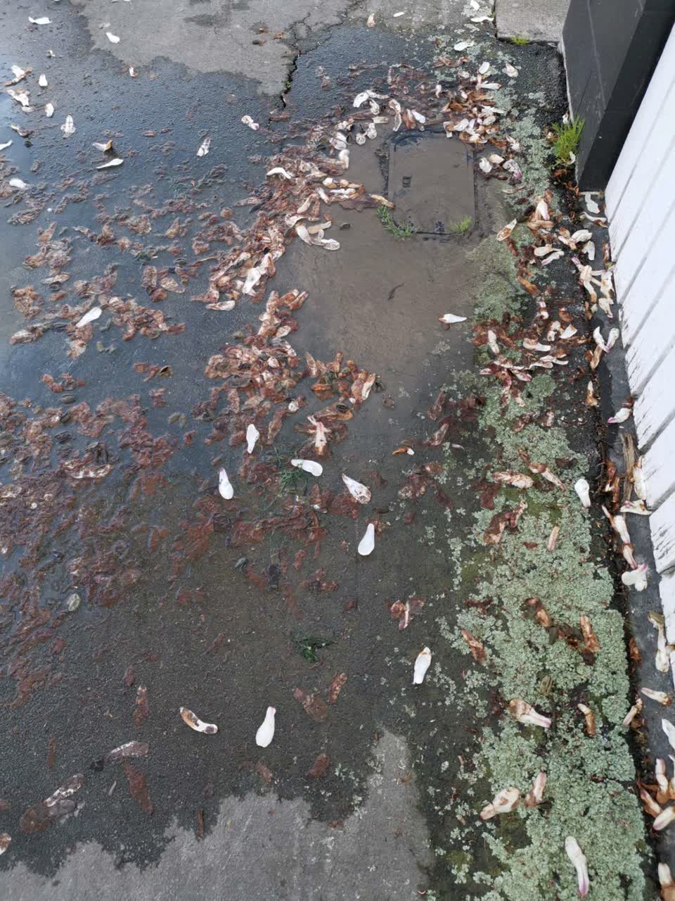 The photograph attached to this water supply report